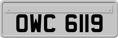 OWC6119