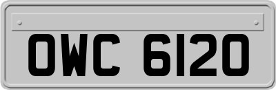 OWC6120