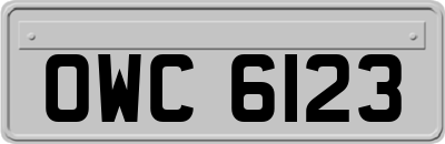 OWC6123