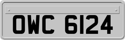 OWC6124