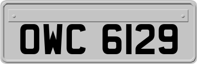 OWC6129