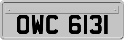 OWC6131