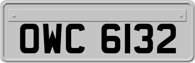 OWC6132