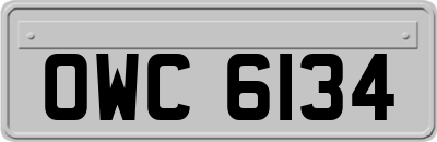 OWC6134