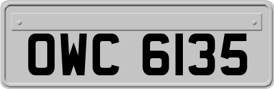 OWC6135