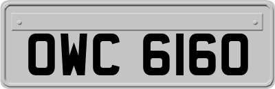 OWC6160