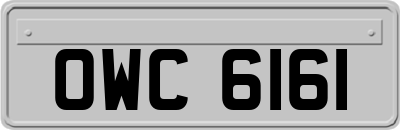 OWC6161