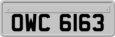 OWC6163