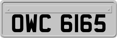 OWC6165