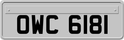 OWC6181