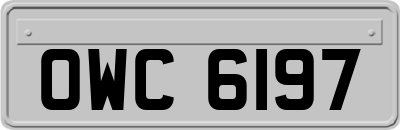 OWC6197