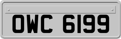 OWC6199
