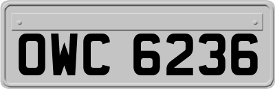 OWC6236