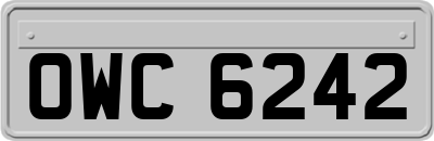 OWC6242