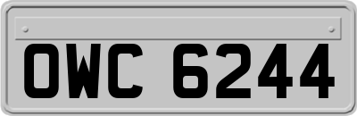 OWC6244