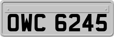 OWC6245
