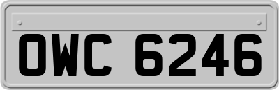 OWC6246