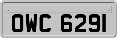 OWC6291