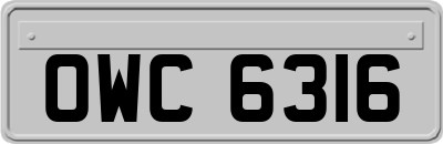 OWC6316