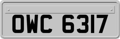 OWC6317