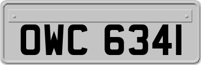 OWC6341