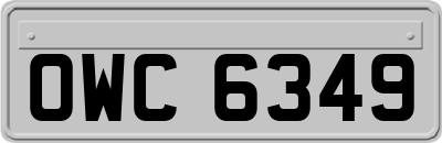 OWC6349