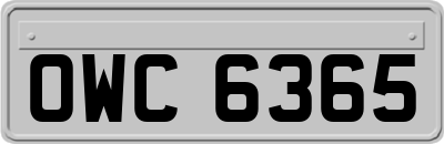 OWC6365