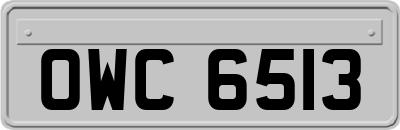 OWC6513
