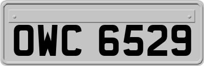 OWC6529