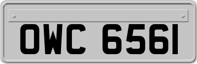 OWC6561