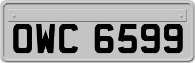 OWC6599