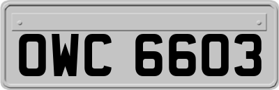 OWC6603