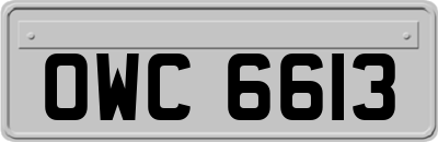 OWC6613