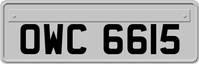 OWC6615
