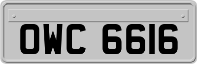 OWC6616