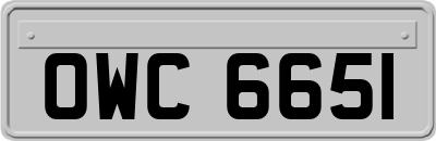 OWC6651