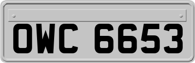 OWC6653