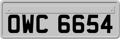 OWC6654