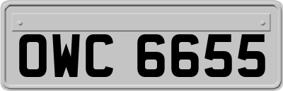 OWC6655