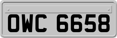 OWC6658