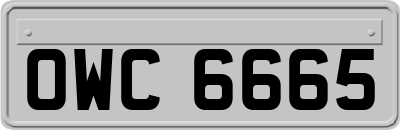 OWC6665