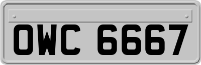 OWC6667