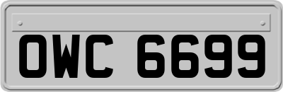 OWC6699