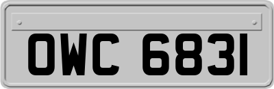 OWC6831