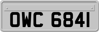 OWC6841