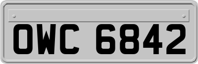 OWC6842