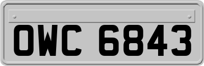 OWC6843