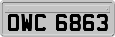 OWC6863