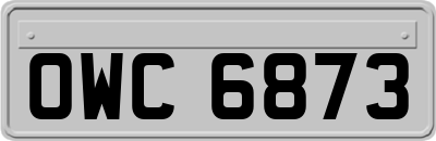 OWC6873