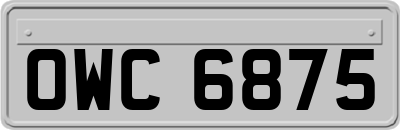 OWC6875